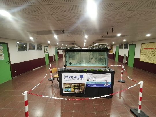 Un système aquaponique de démonstration à l’Athénée Royale de Huy (Belgique)